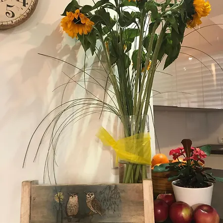 Apartament Klinar - Cosy With A Terrace *