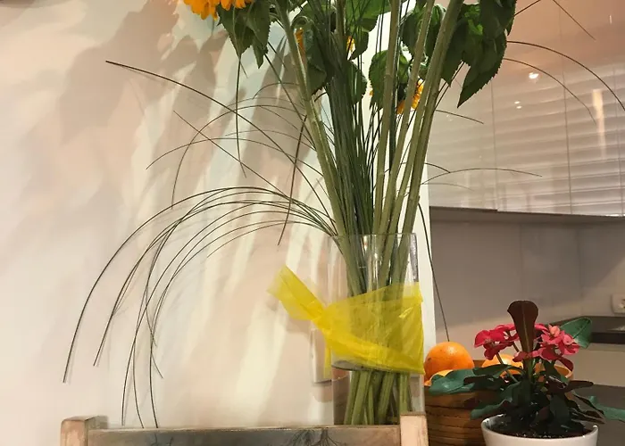 アパート Klinar - Cosy With A Terrace *